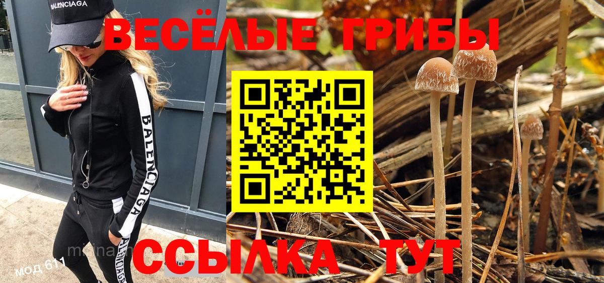 купить закладку  Галлюциногенные грибы Cubensis  Вход с VPN  Долгопрудный 
