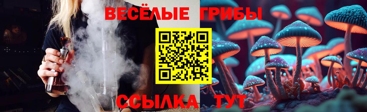 Галлюциногенные грибы Magic Shrooms Долгопрудный